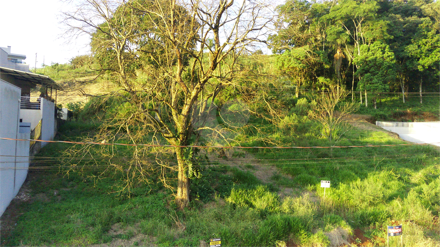 Foto REO1122774