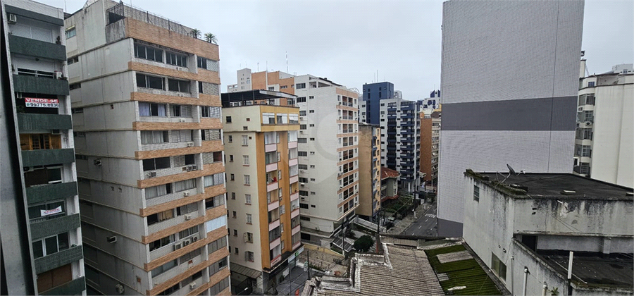 Foto REO1122779