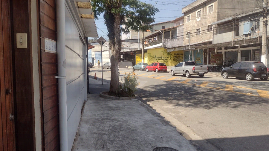 Foto REO1122783