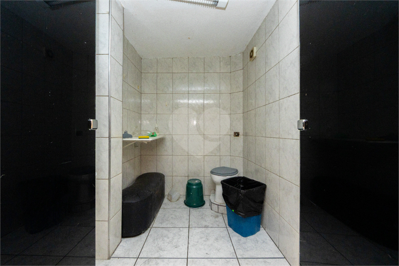 Foto REO1122785
