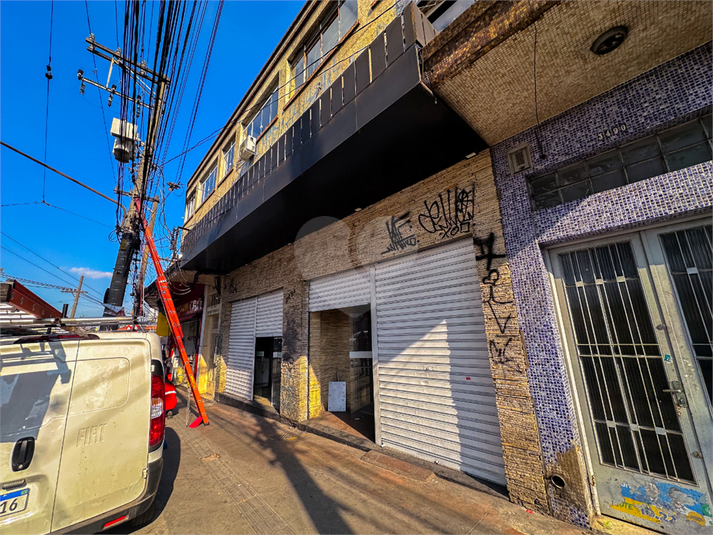 Foto REO1122785