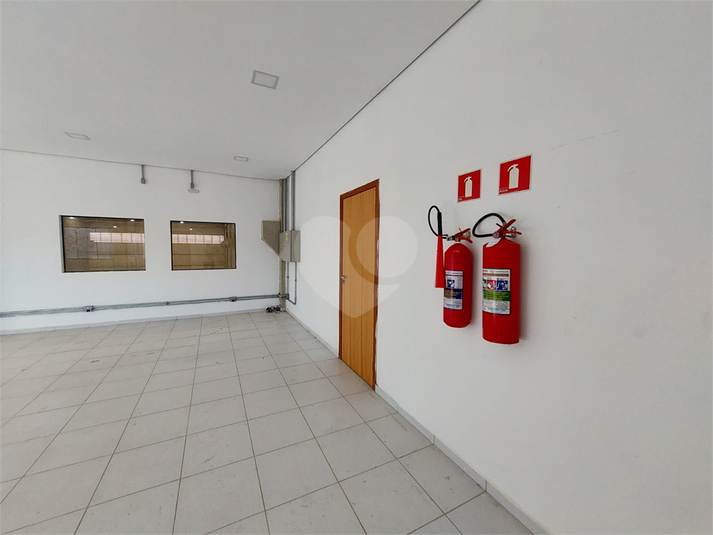 Foto REO1122786