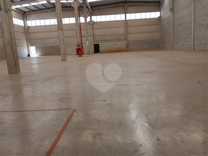 Foto REO1122786