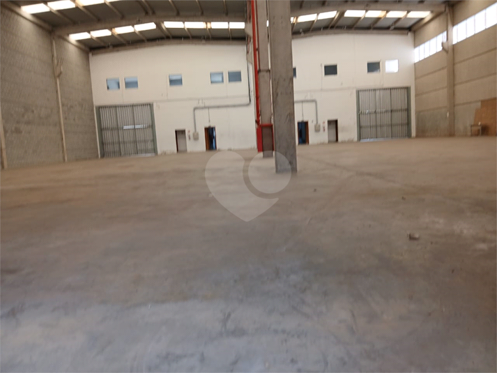 Foto REO1122786