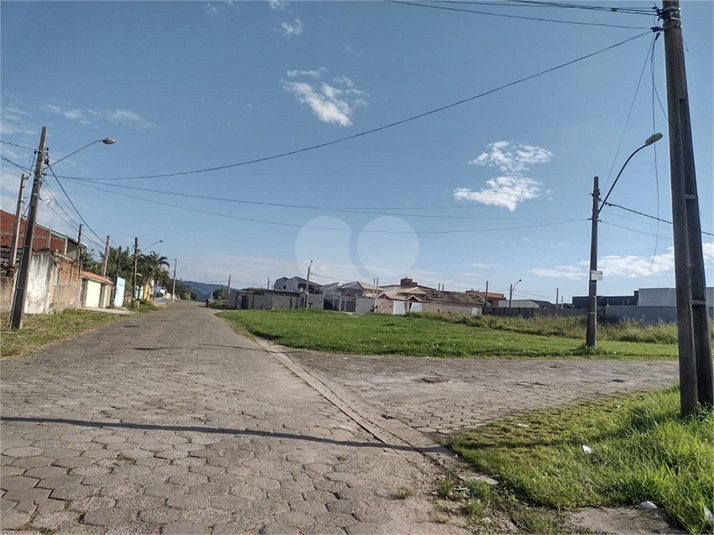 Foto REO1122793