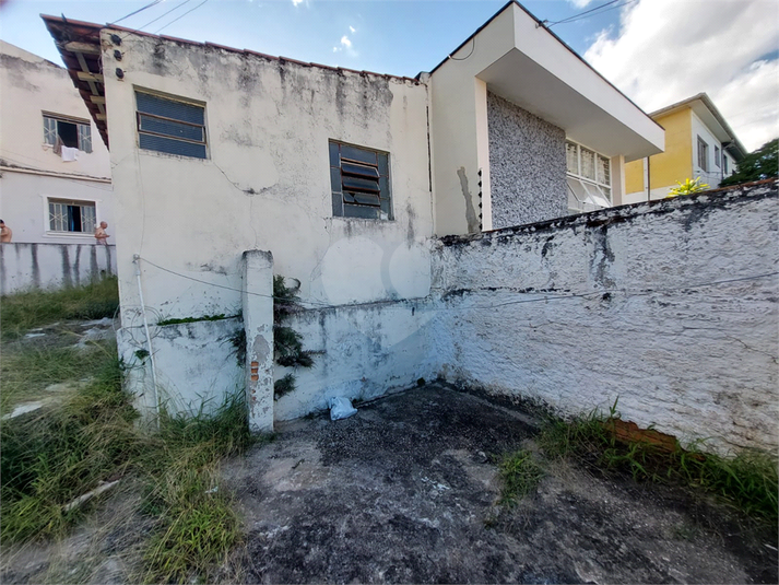 Foto REO1122810