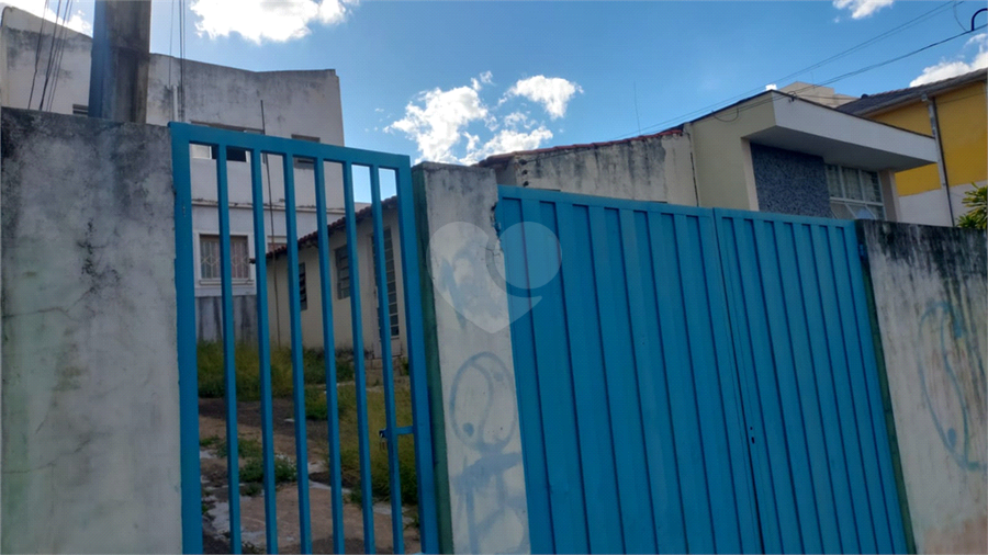 Foto REO1122810