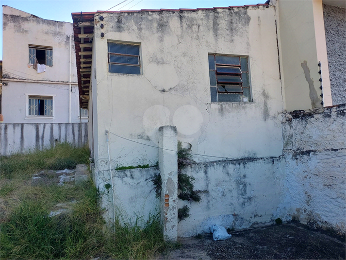 Foto REO1122810