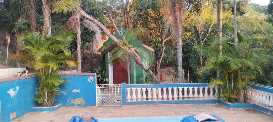 Foto REO1122831