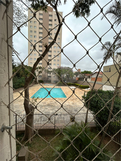 Foto REO1122837