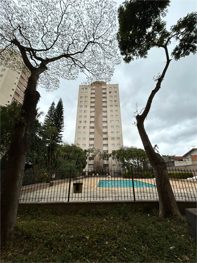 Foto REO1122837