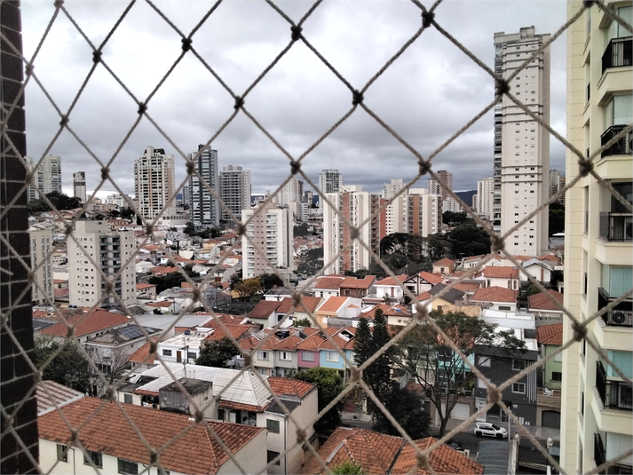 Foto REO1122841