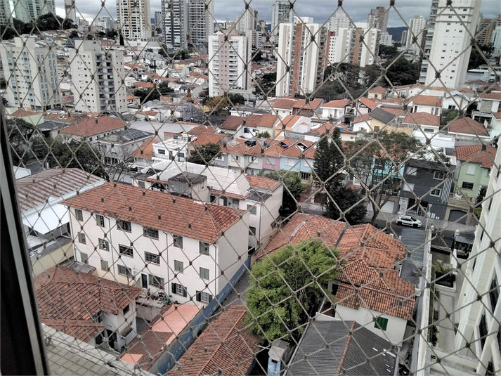 Foto REO1122841