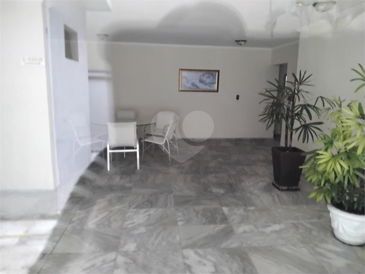 Foto REO1122841