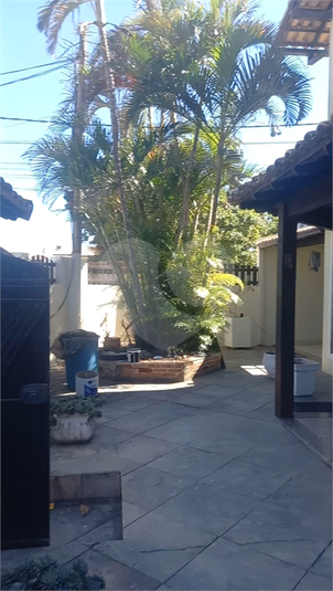 Foto REO1122848