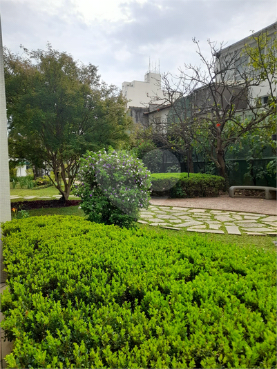 Foto REO1122854