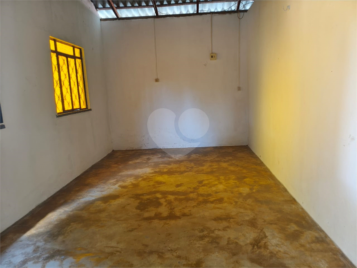 Foto REO1122862