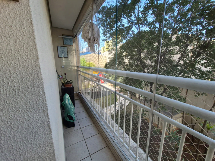 Foto REO1122863