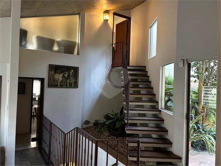 Foto REO1122886
