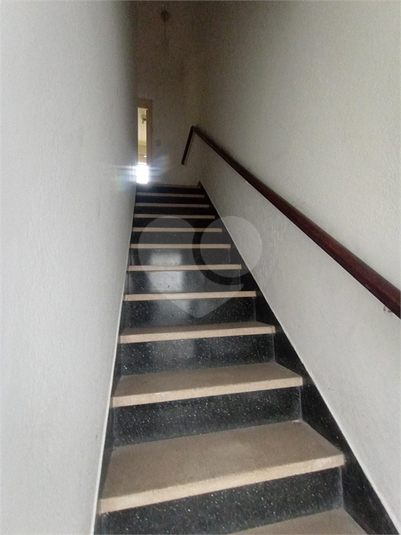 Foto REO1122889