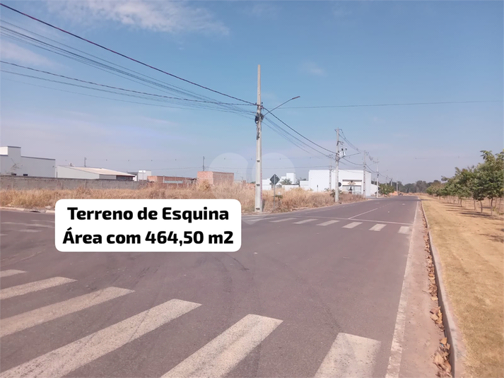 Foto REO1122891