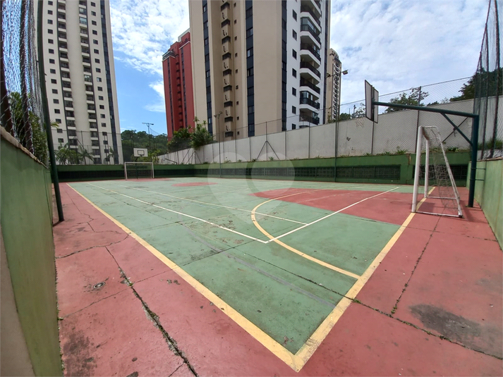 Foto REO1122898