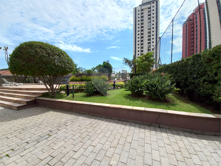 Foto REO1122898
