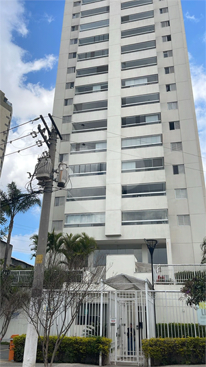 Foto REO1122902