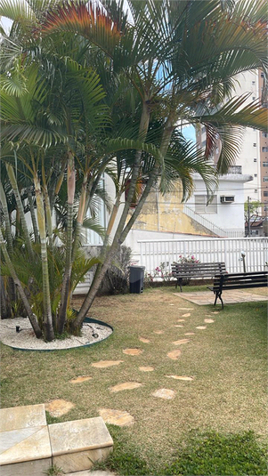 Foto REO1122902