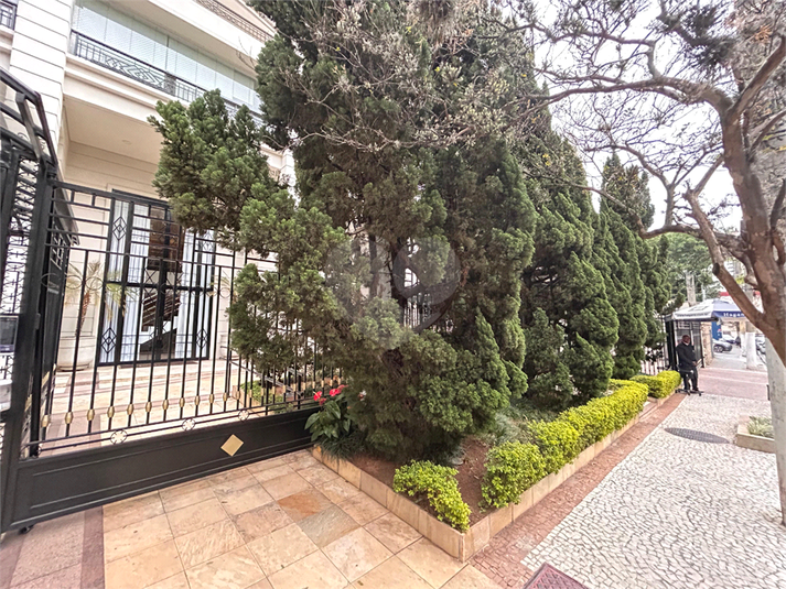 Foto REO1122904