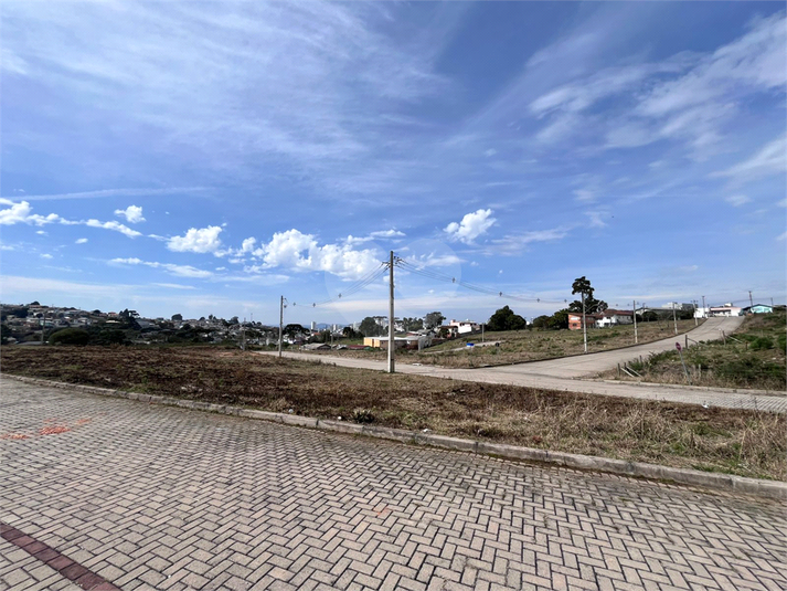 Foto REO1122929