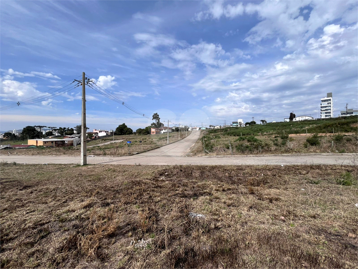 Foto REO1122929