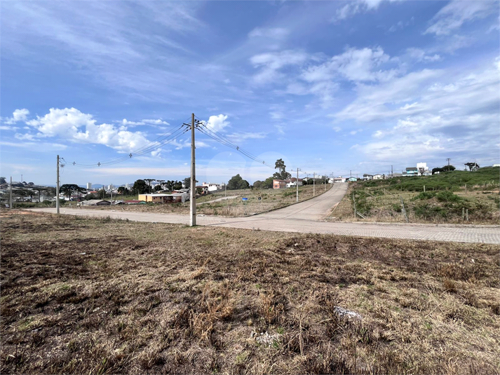 Foto REO1122929
