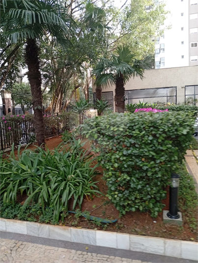 Foto REO1122934