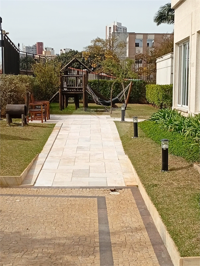 Foto REO1122934