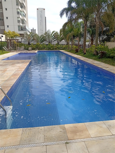 Foto REO1122934