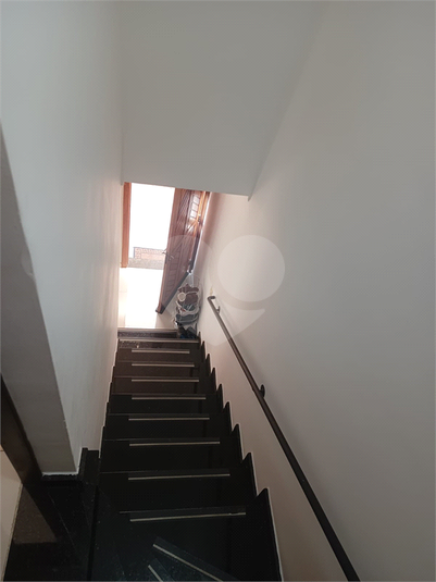 Foto REO1122947