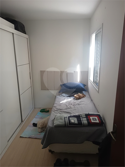 Foto REO1122947
