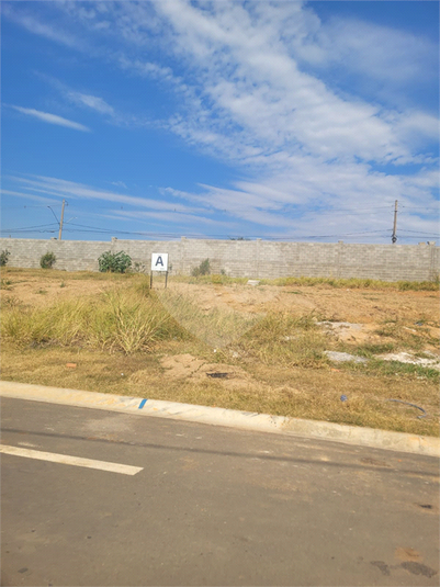 Foto REO1123040