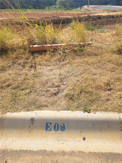 Foto REO1123055