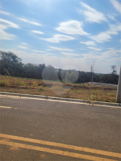 Foto REO1123055