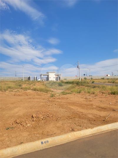 Foto REO1123055