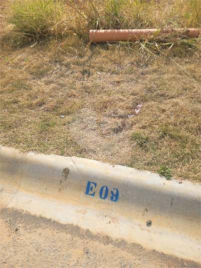 Foto REO1123055