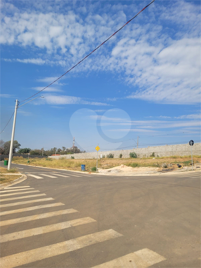 Foto REO1123057
