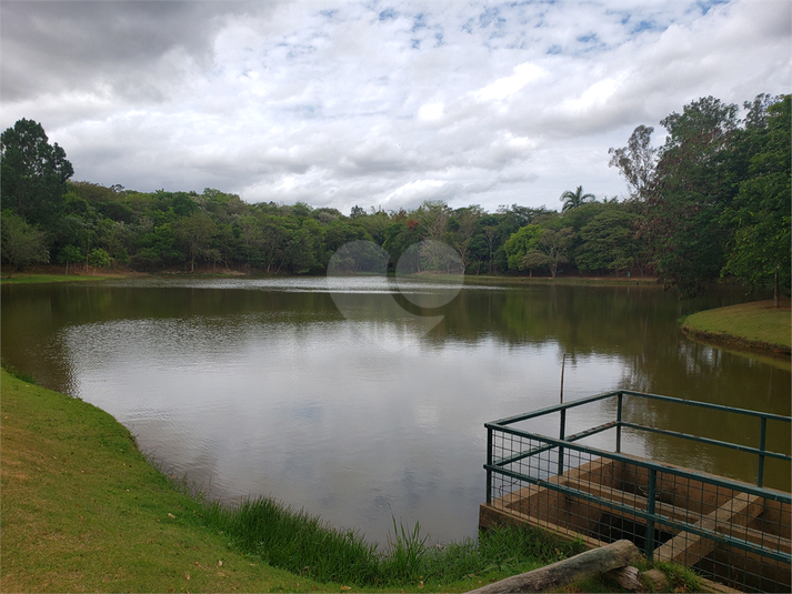Foto REO1123059