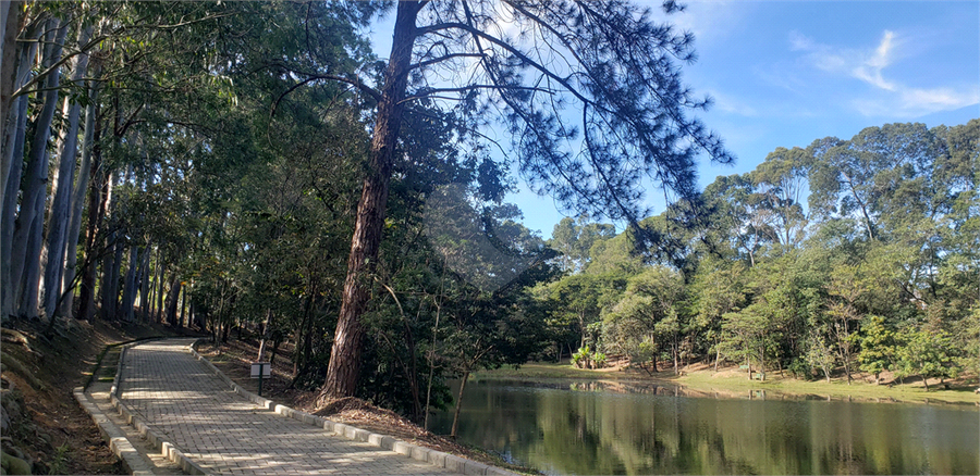 Foto REO1123059