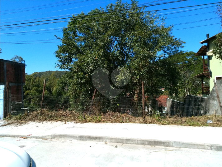 Foto REO1123066