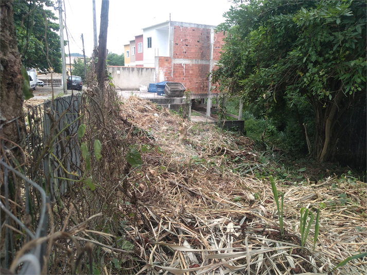 Foto REO1123066