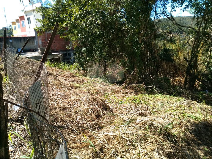 Foto REO1123066