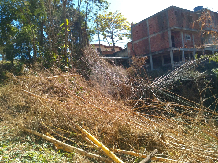 Foto REO1123066